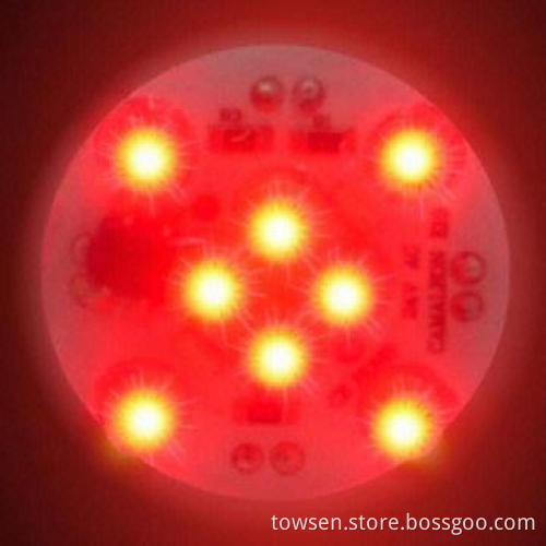 E10 LED Amusement/Fair Light for Ferris Wheel, with 12-piece LEDs, 24/60V